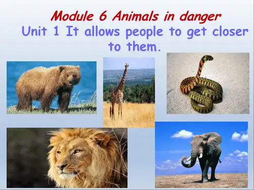 Module6-Animals-in-danger-Unit1演示教学