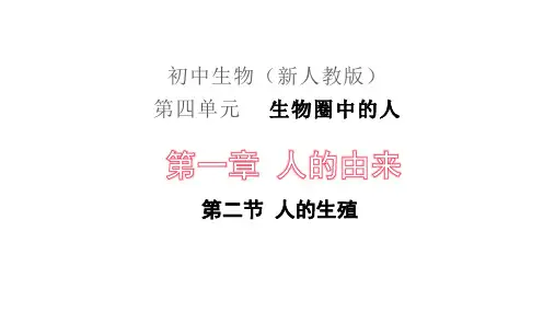 第二节人的生殖课件七年级生物人教版下册