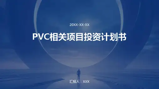 PVC相关项目投资计划书