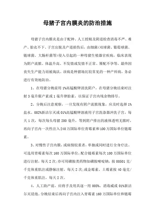 母猪子宫内膜炎防治措施