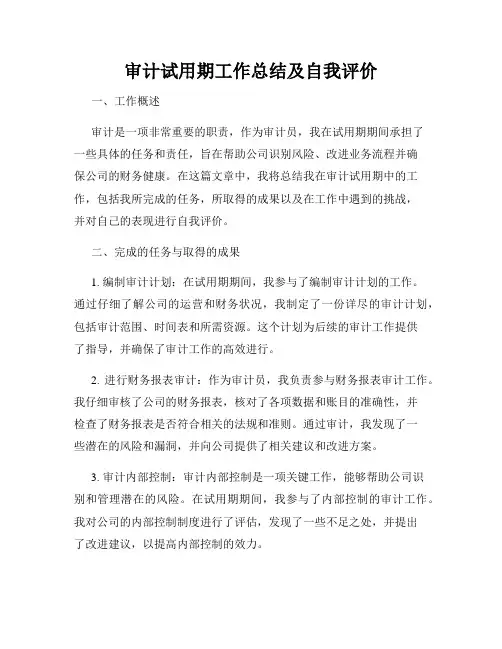 审计试用期工作总结及自我评价