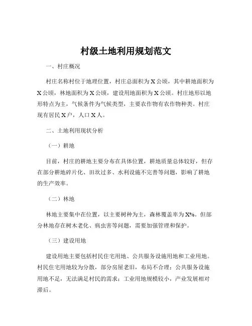村级土地利用规划范文
