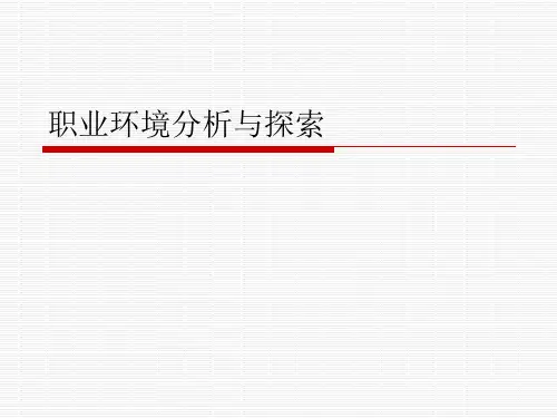 职业环境分析与探索