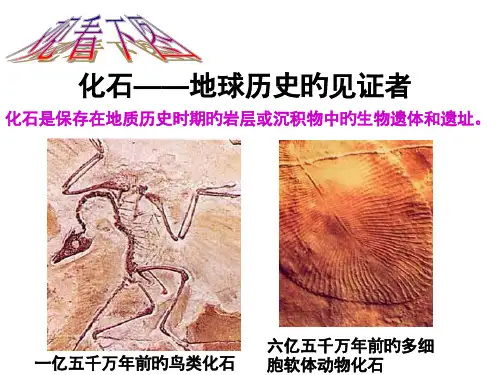 七年级语文化石吟1省名师优质课赛课获奖课件市赛课一等奖课件