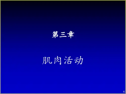 运动生理学肌肉活动PPT课件