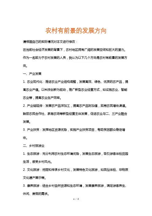 农村有前景的发展方向