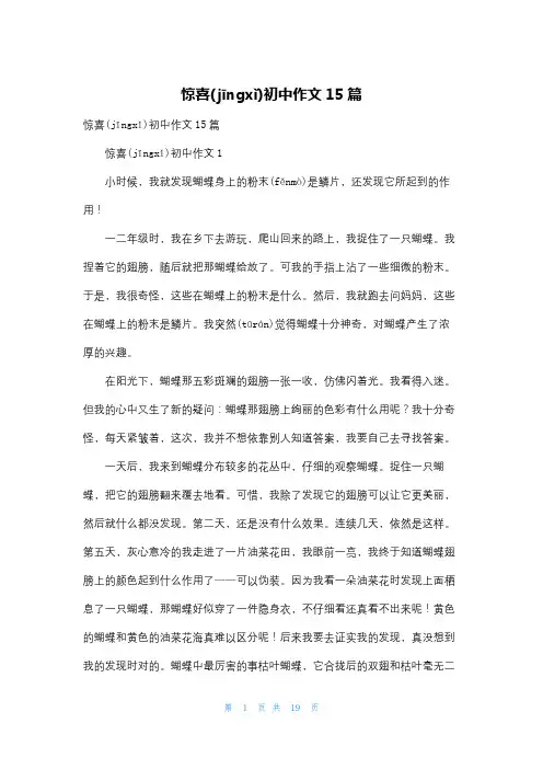 惊喜初中作文15篇
