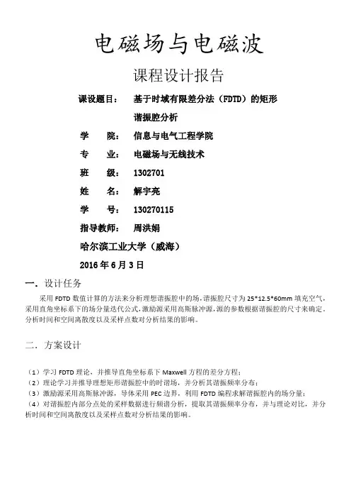 FDTD分析报告1