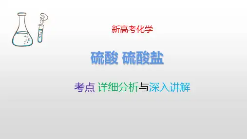 硫酸 硫酸盐 新高考化学专题讲解 考点详细分析深入讲解 化学高考必看 最新版