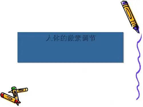 激素调节PPT课件34(4份) 人教版1