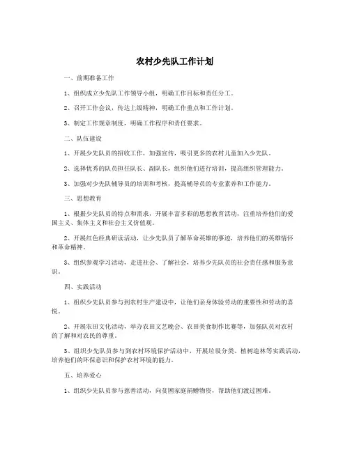 农村少先队工作计划