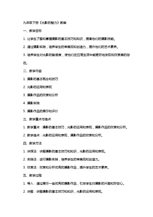 九年级下册《光影的魅力》教案