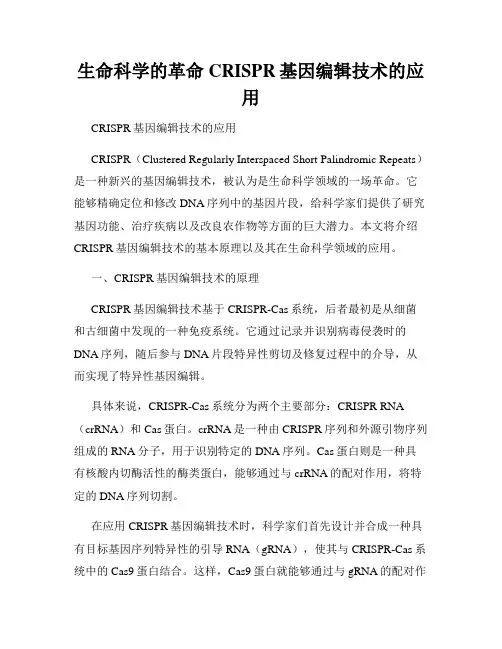 生命科学的革命CRISPR基因编辑技术的应用