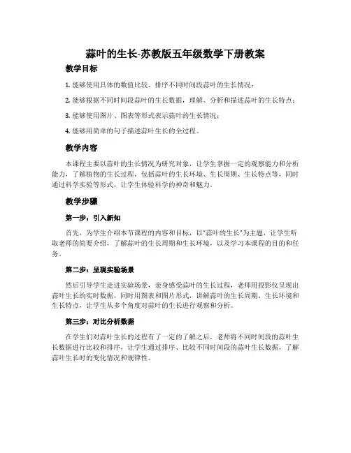 蒜叶的生长-苏教版五年级数学下册教案