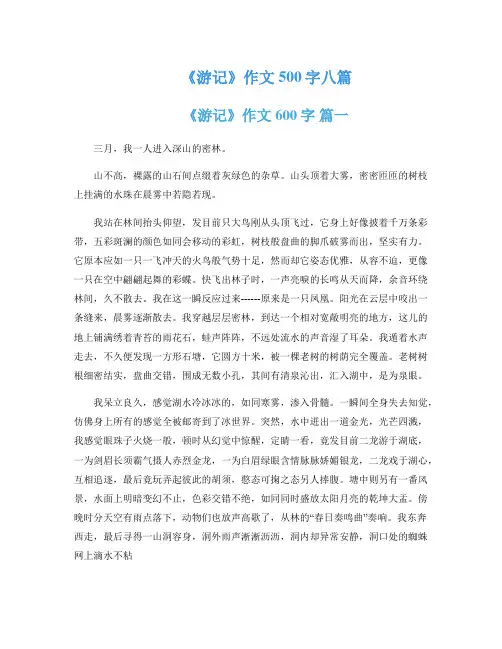 《游记》作文500字八篇