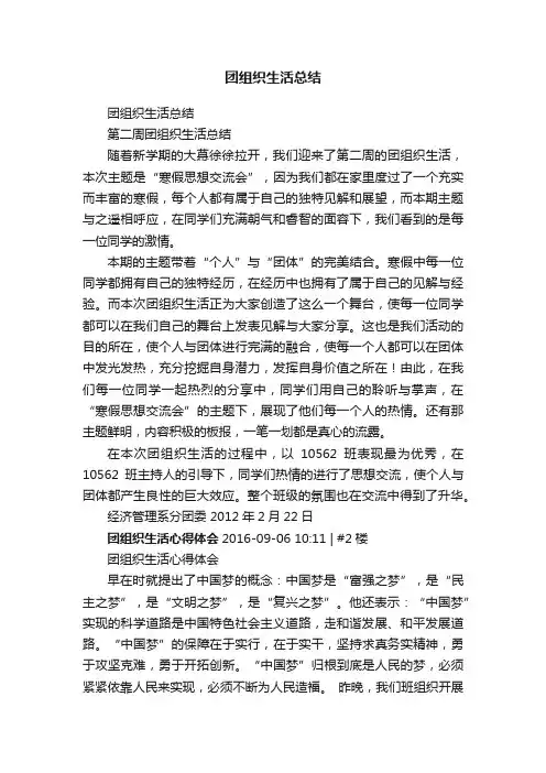 团组织生活总结