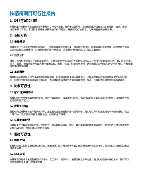 铁精粉项目可行性报告