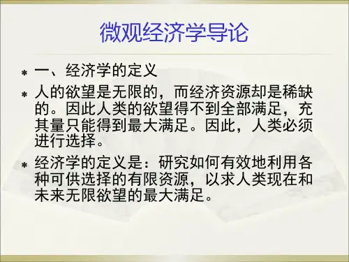 微观经济学导论.pptx