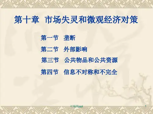 市场失灵及其对策 (2)