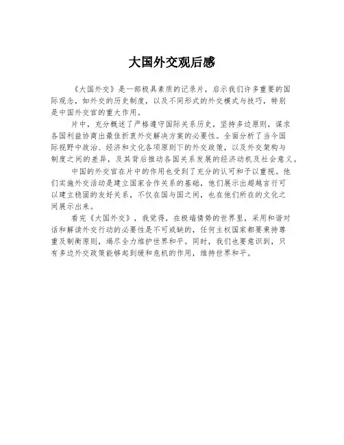 大国外交观后感