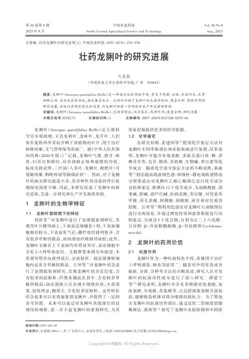 壮药龙脷叶的研究进展