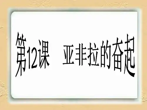 12.亚非拉的奋起.精品PPT课件