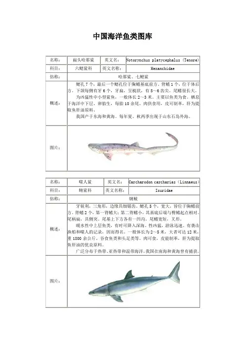 中国海洋鱼类图库
