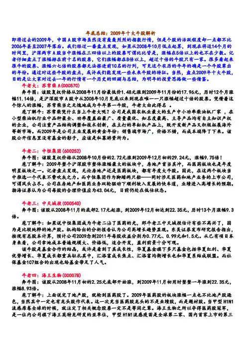 2009年十大牛股分析