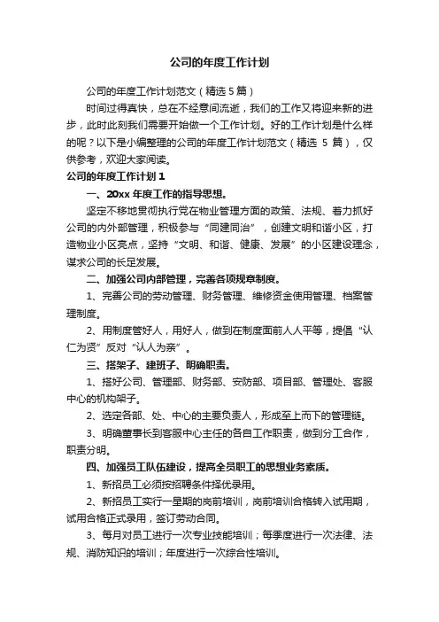 公司的年度工作计划范文（精选5篇）
