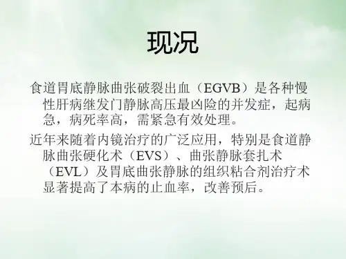 食道静脉曲张内镜下治疗课件ppt