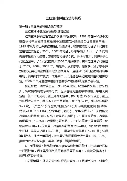 三红蜜柚种植方法与技巧