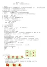 二年级数学上册总复习教案