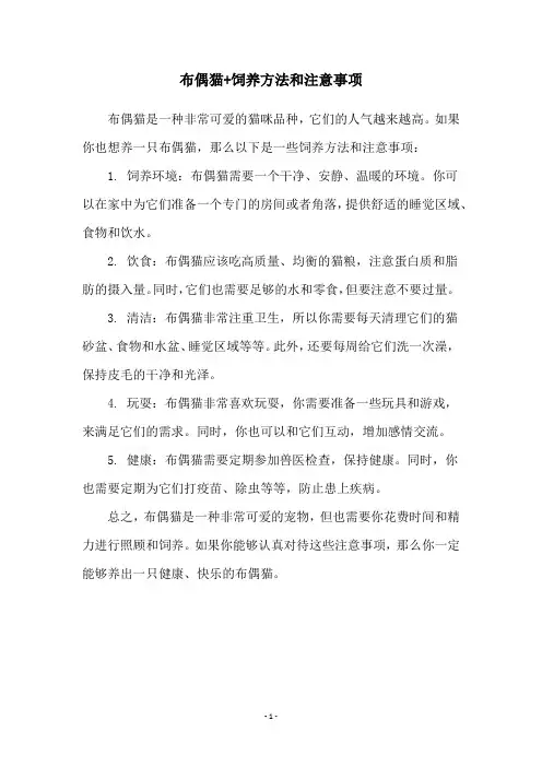 布偶猫+饲养方法和注意事项