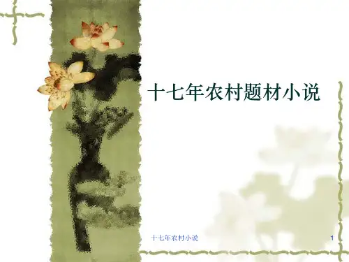 十七年农村小说 ppt课件
