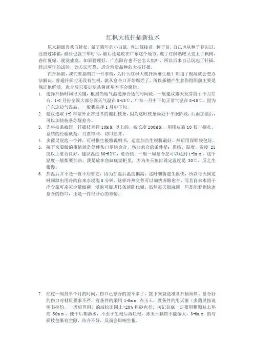 红枫大枝扦插新技术