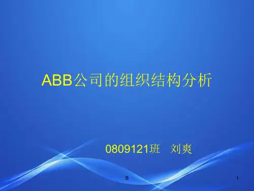 ABB组织结构分析