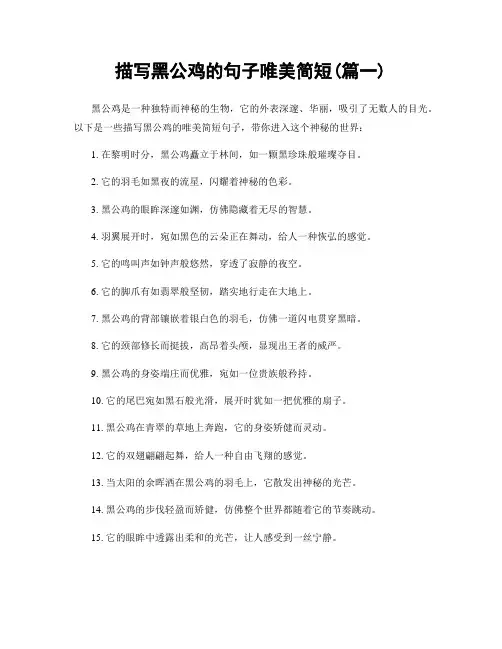 描写黑公鸡的句子唯美简短(精选2篇)