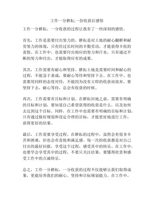 工作一分耕耘,一份收获后感悟
