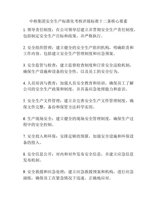 中核集团安全生产标准化考核评级标准十二条核心要素
