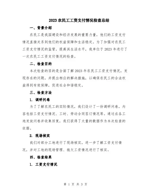 2023农民工工资支付情况检查总结