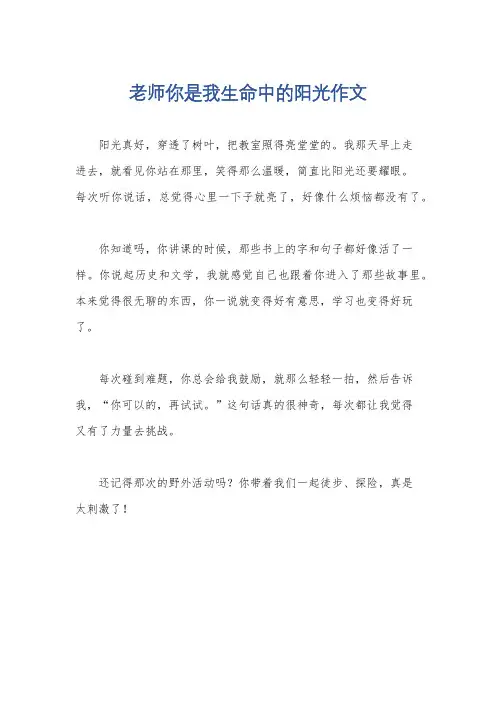 老师你是我生命中的阳光作文