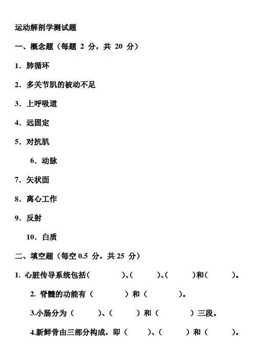 动解剖学