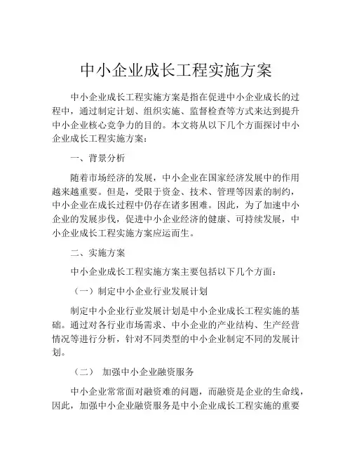 中小企业成长工程实施方案