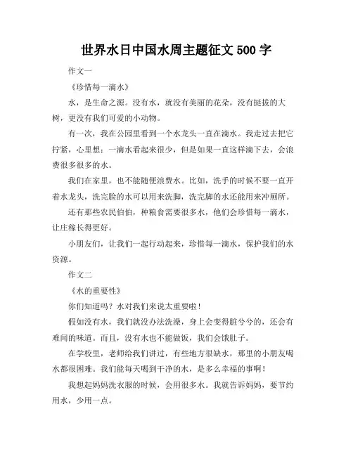 世界水日中国水周主题征文500字