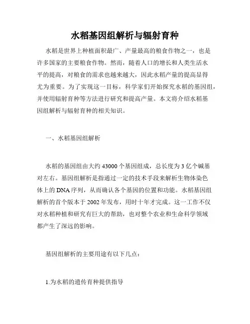 水稻基因组解析与辐射育种
