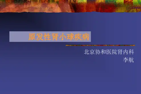 原发性小球疾病