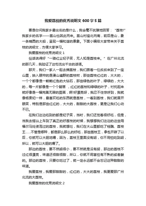 我爱荔枝的优秀说明文600字5篇