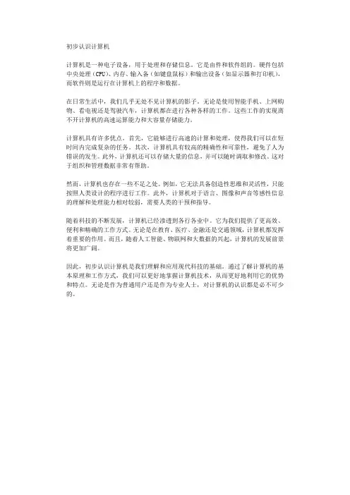 初步认识计算机