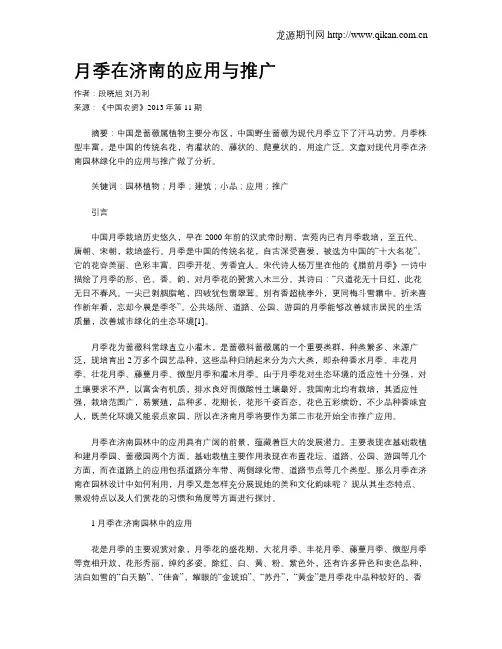 月季在济南的应用与推广