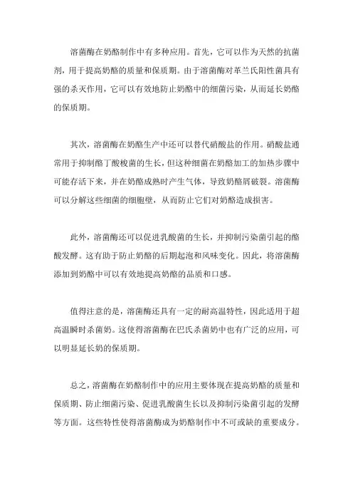 溶菌酶在奶酪中的应用